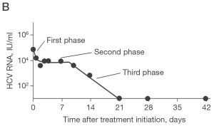 Рис. 3. Математическое описание результатов изменения НО/ РМА при лечении пэгинтерфероном α-2а и рибавирином.
