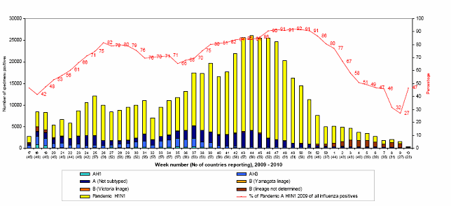 Динаміка циркуляції вірусів грипу різних субтипів  з 19 квітня 2009 р. по 13 березня 2010 р. в  країнах Північної півкулі.